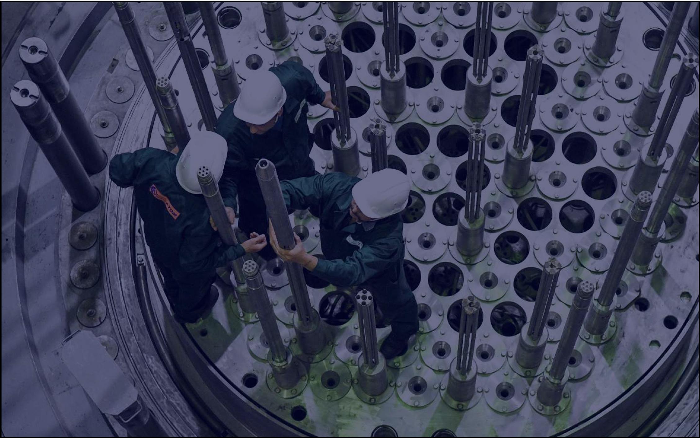 Ecosystem Hero Background