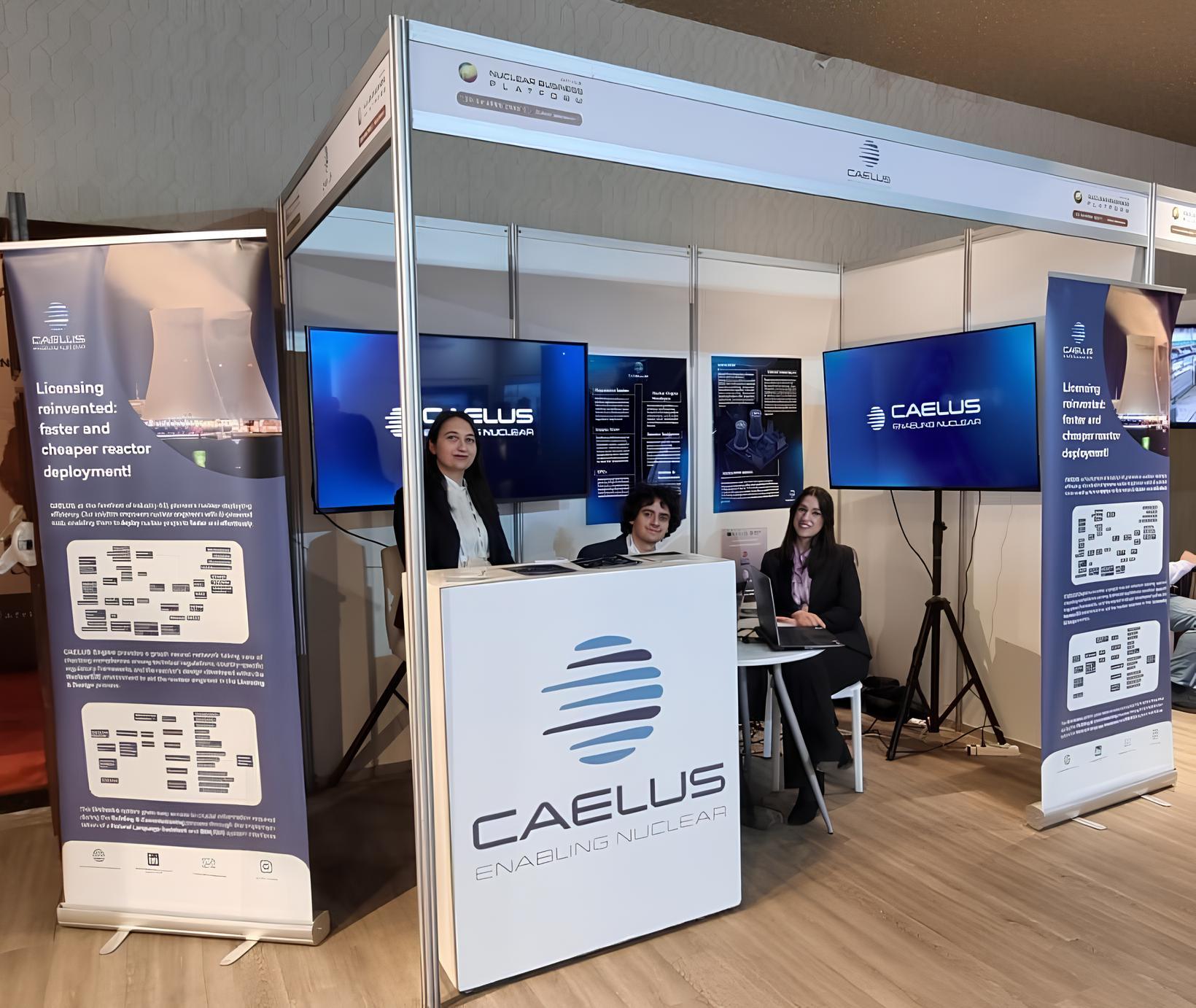 African Nuclear Business Platform