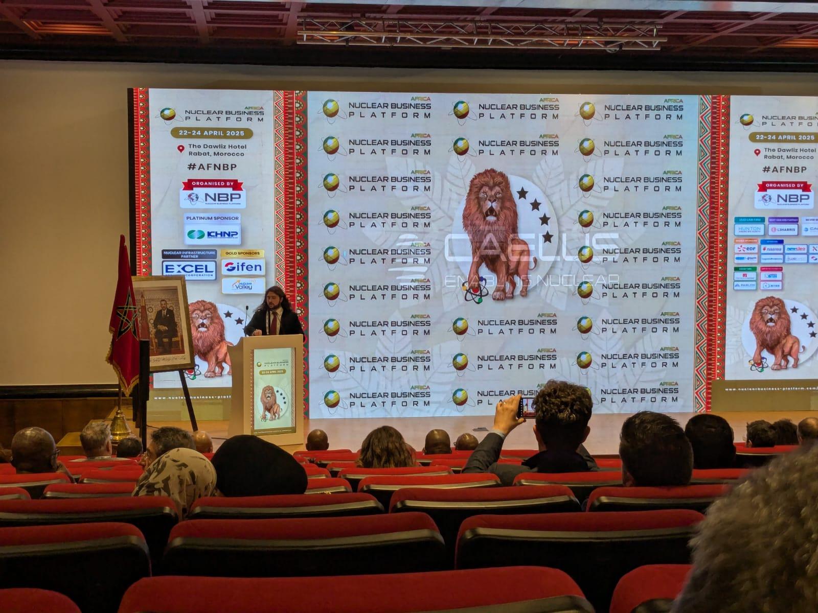 CAELUS team at international nuclear events